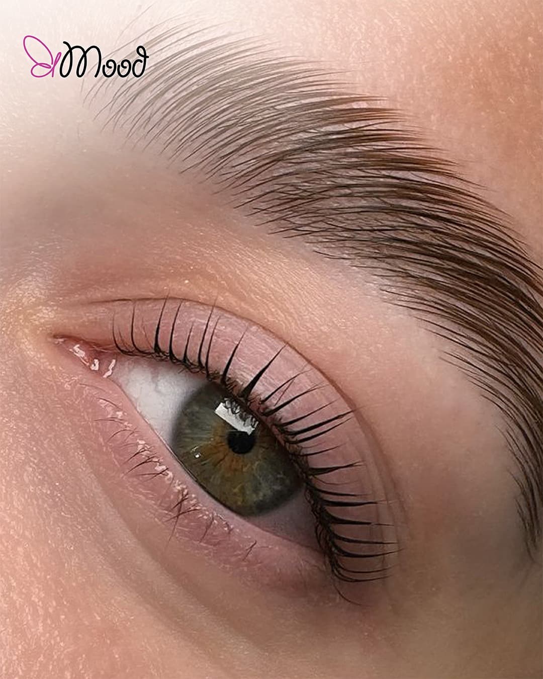 Lash Studio 01