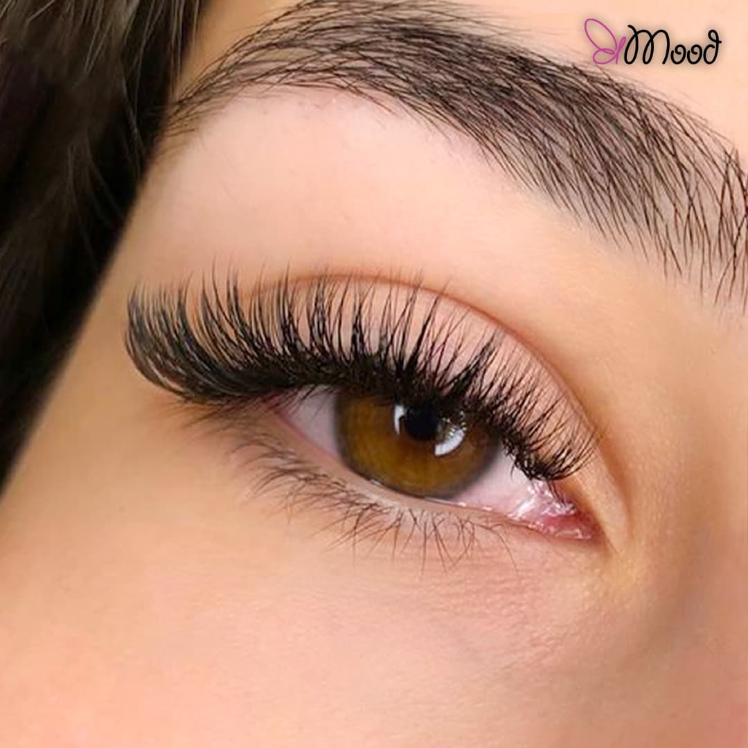 Lash Studio 03